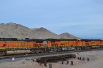 BNSF 6905